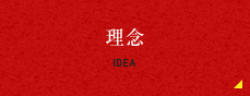 IDEA 理念