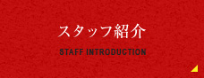 STAFF INTRODUCTION STAFF紹介